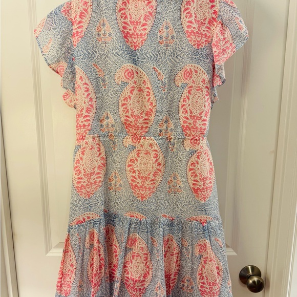 Oliphant Cinched Flirty Mini Dress - Picture 5 of 6